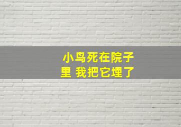 小鸟死在院子里 我把它埋了